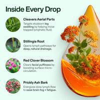 Biorelief Lymphatic Wellness Drops